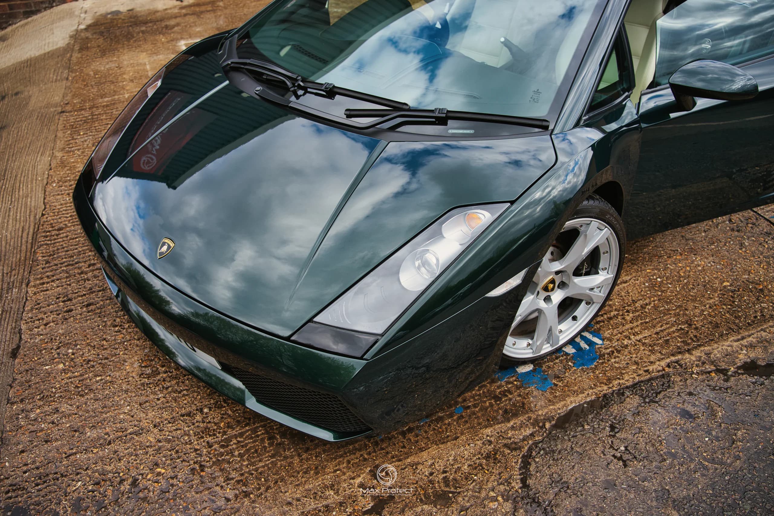 TWP (TINT WRAP PROTECT)